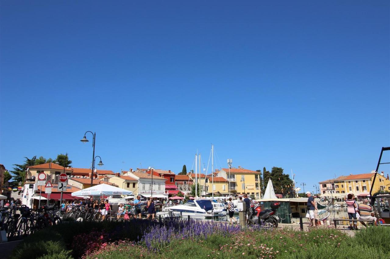 Gianna N2, 600 M From The Beach Novigrad  Bagian luar foto